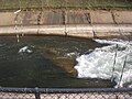 Middle Hole at low flow 200 cu ft/s (5.7 m3/s), revealing the underwater rock that creates it.