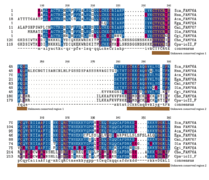 File:FAM76A MSA2.png