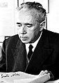 Giulio Natta, Nobel Laureate in Chemistry (1963) - Professor