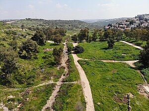 Wadi Qana riverbed