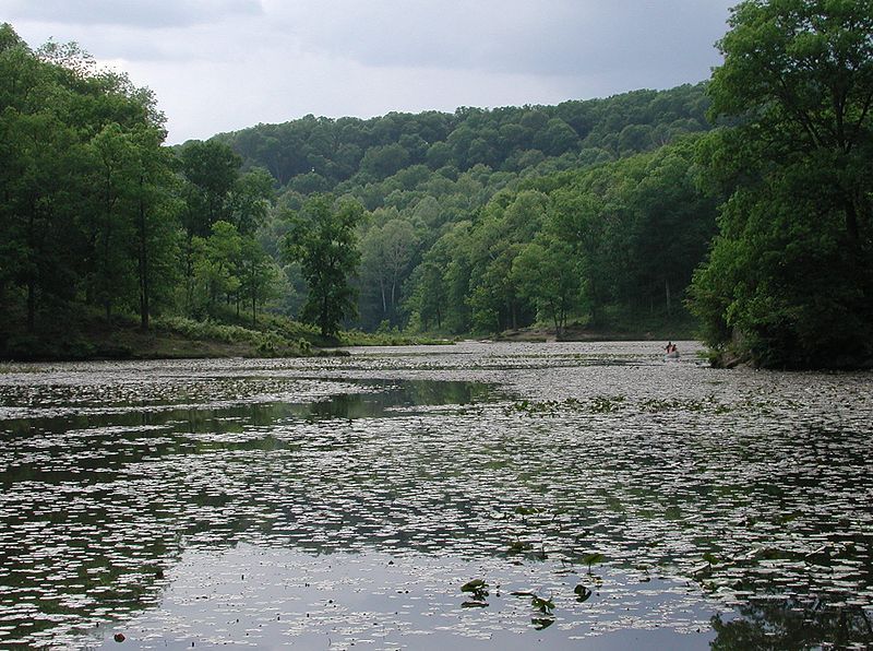 File:Lake hope.JPG