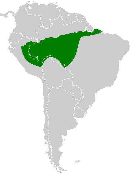 File:Leucopternis kuhli map.svg