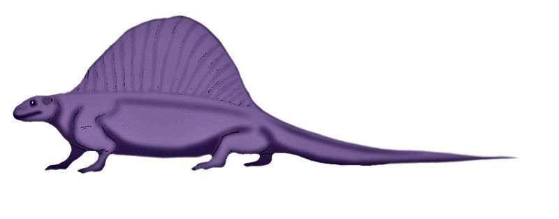 File:Lupeosaurus.jpg