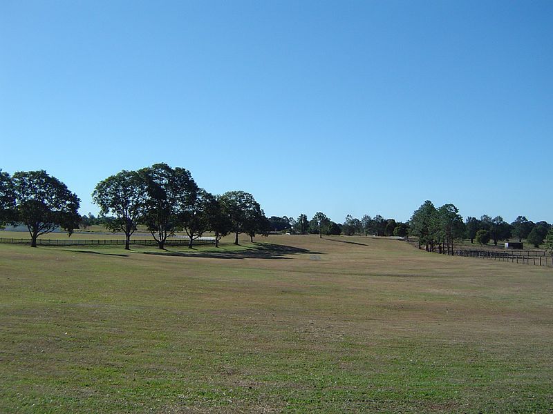 File:Newstead Park Buccan.jpg