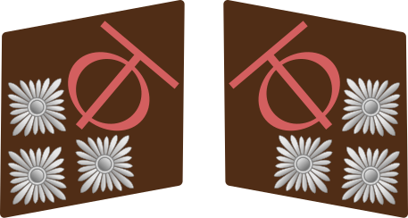 File:OT-Haupttruppführer.svg