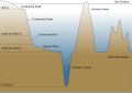 Image 50Cross-section of an ocean basin, note significant vertical exaggeration (from Pelagic fish)