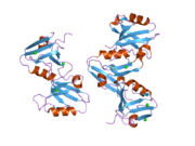 2uzc: STRUCTURE OF HUMAN PDLIM5 IN COMPLEX WITH THE C-TERMINAL PEPTIDE OF HUMAN ALPHA-ACTININ-1