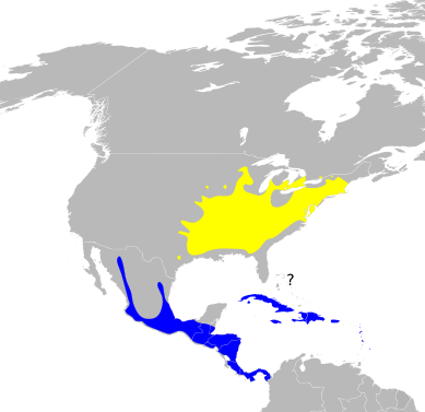 File:Parkesia motacilla map.svg