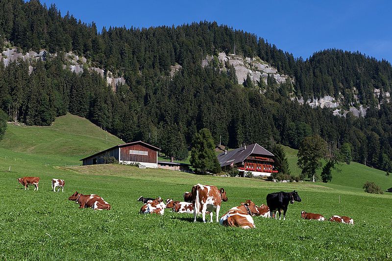 File:Schangnau-Wald.jpg