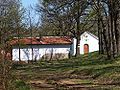 Vacareiian Monastery St. Petka