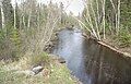 St. Louis River in Superior National Forest