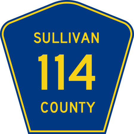 File:Sullivan County 114.svg