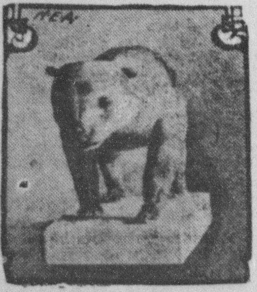 File:Taxidermied grizzly cub.jpg