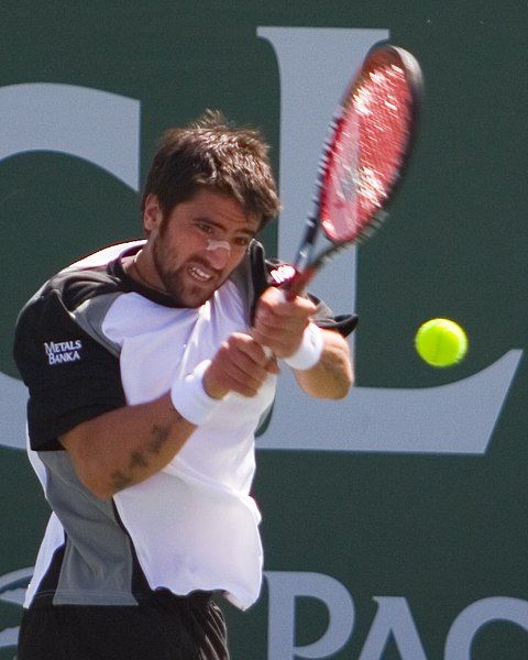 File:Tipsarevic.jpg