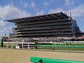 Tokyo Racecourse in western Tokyo, Japan