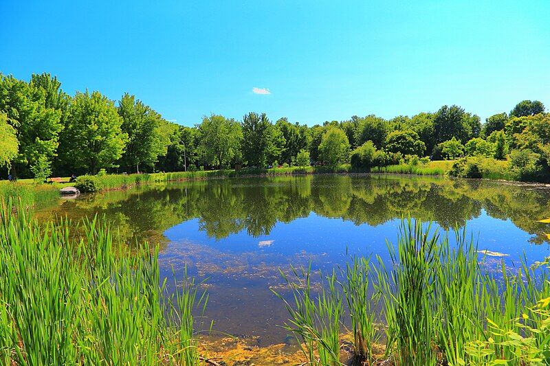 File:Étang Parc Angrignon.jpg