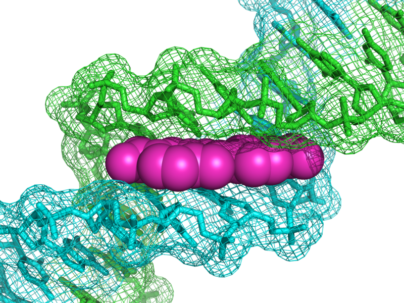 File:1D30 DNA DAPI.png