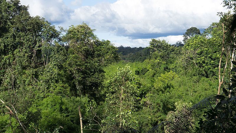 File:Bamboo lake.jpg