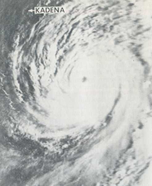 File:BillieAugust71976DMSP.png