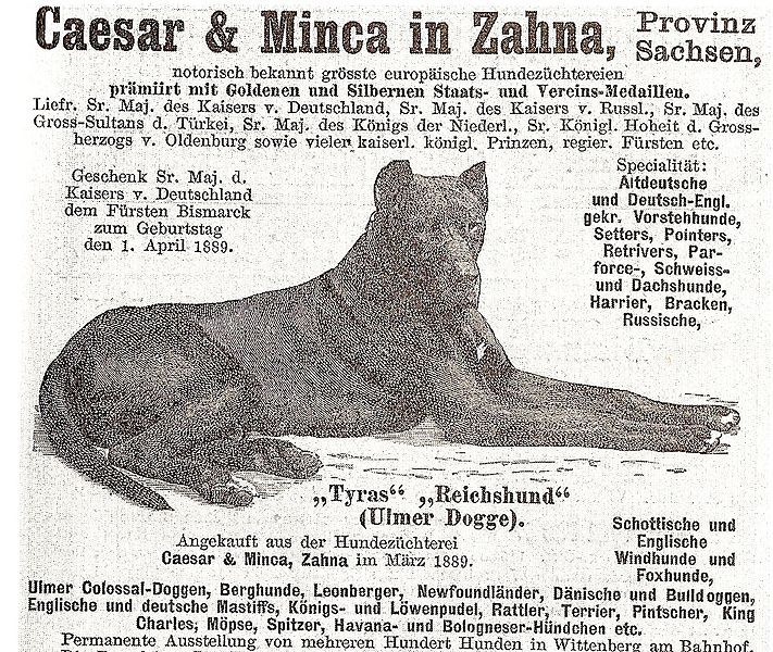 File:Bismarcksdogs1889.jpg