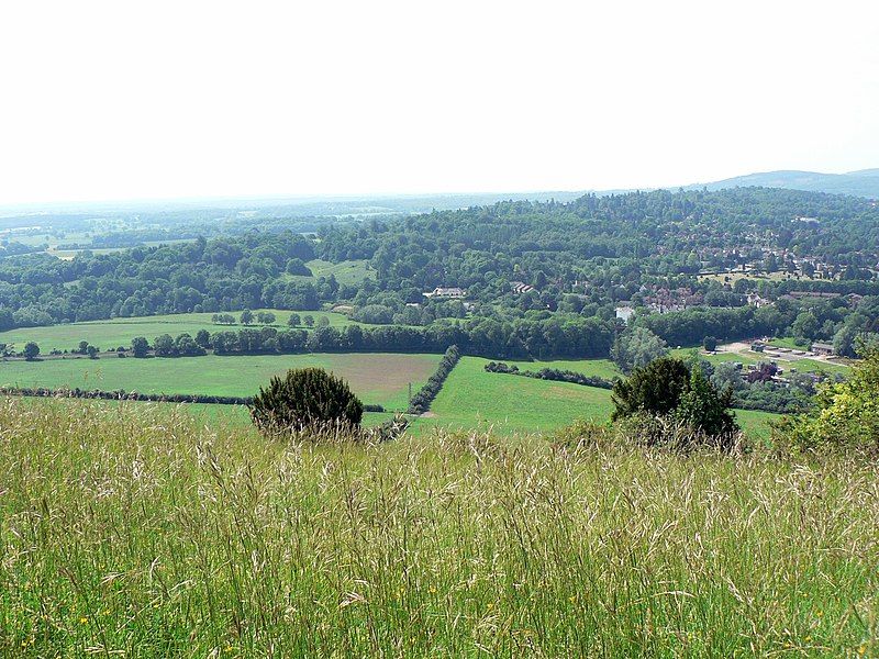 File:Boxhill surrey viewfromtop.jpg