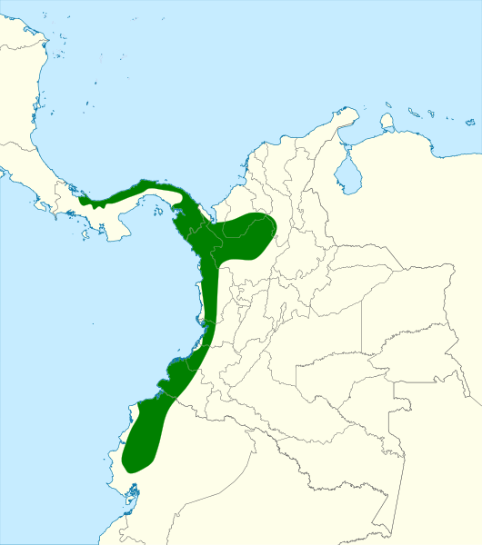 File:Campephilus splendens map.svg