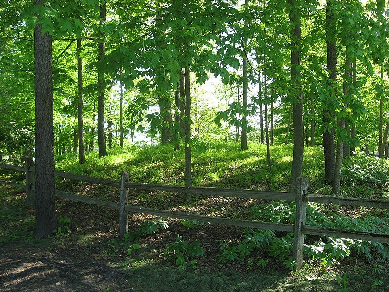 File:Dunns Pond Mound.jpg