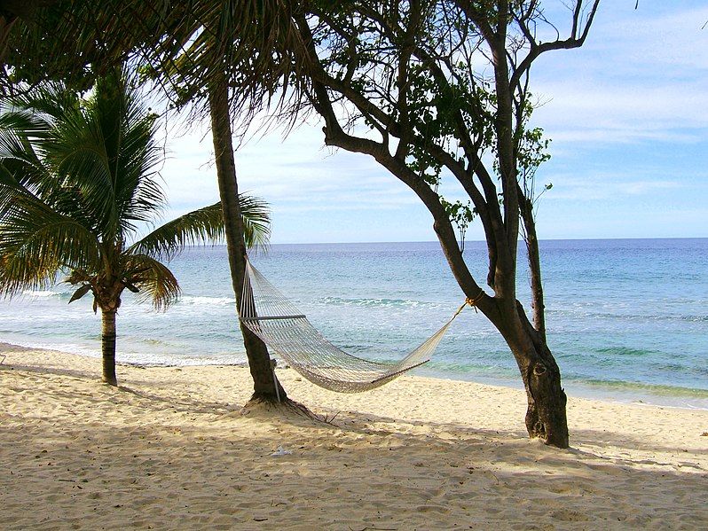 File:HammockonBeach.jpg