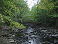 Red Hill Creek, King's Forest Park