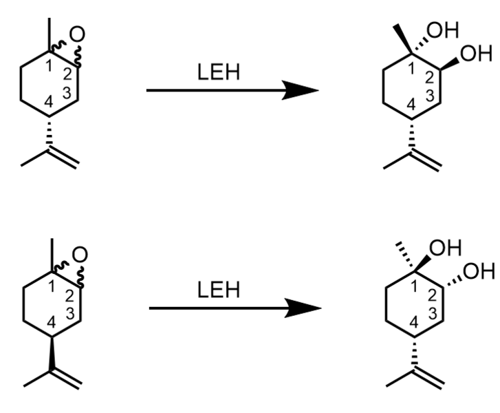 File:LEH stereochemistry.png