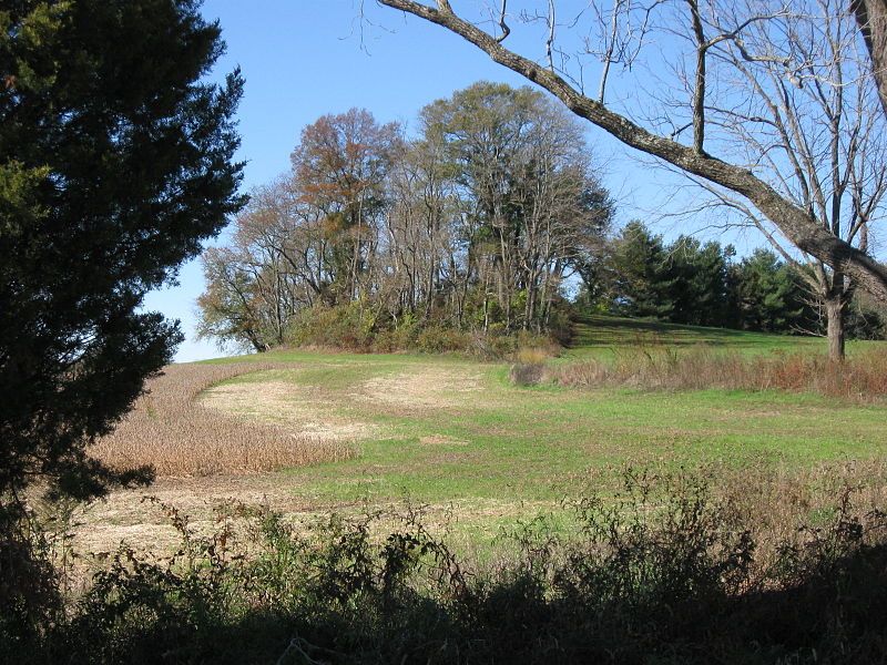 File:Mount Pleasant hill.jpg