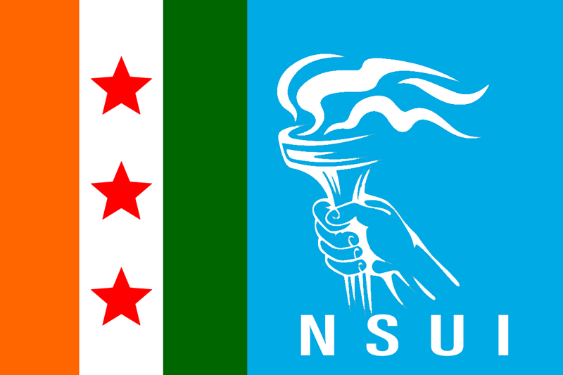 File:Nsui flag.png