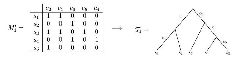 File:PerfectPhylogenyExample.jpg