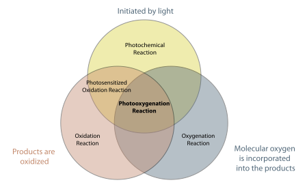 Photooxygenation venn diagram