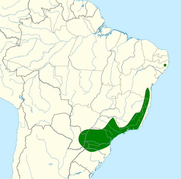 File:Pteroglossus bailloni map.svg