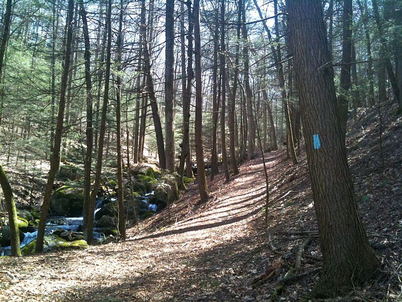 File:RoundHillBrookWebbMountainPaugussettTrail.JPG