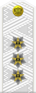 File:Russia-Navy-OF-8-1994-white.svg