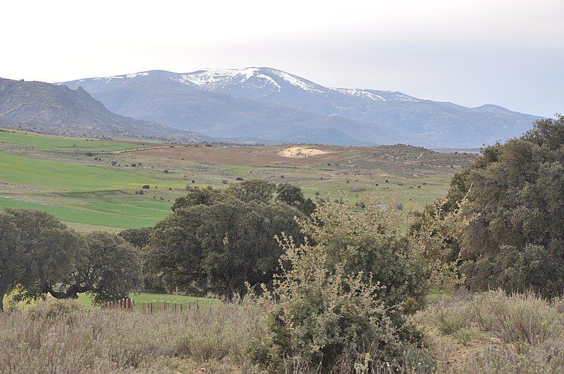 File:Serrota desde Mironcillo.JPG