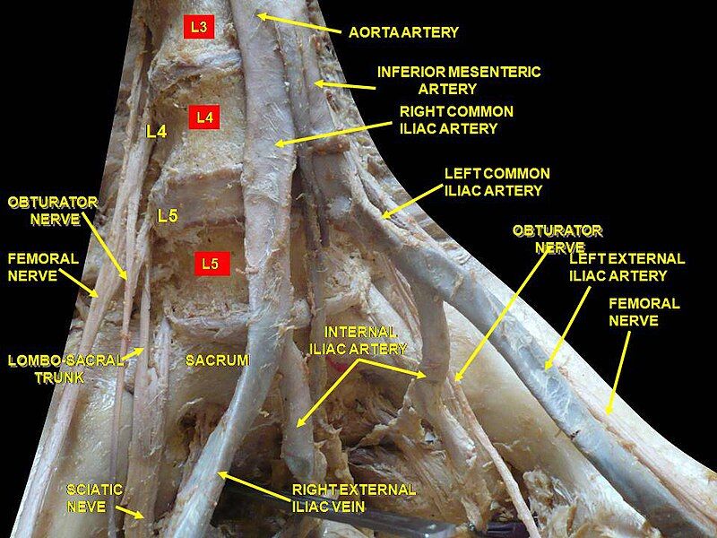 File:Slide2erer.JPG