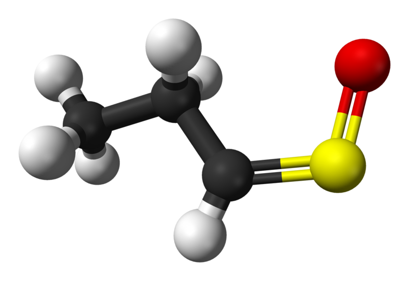 File:Syn-propanethial-S-oxide-3D-balls.png