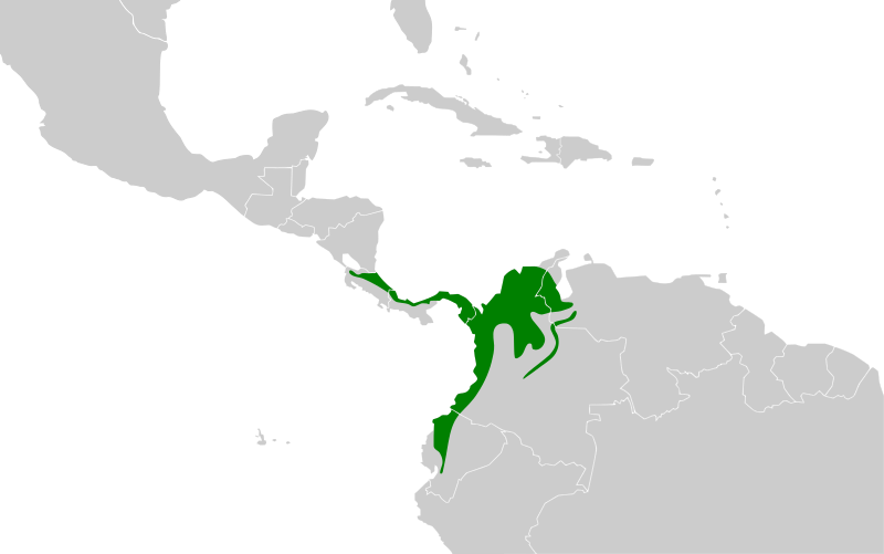 File:Todirostrum nigriceps map.svg