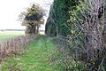 Twenty Acre Lane, Lower Stonnall, an unadopted road.