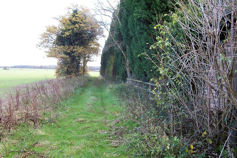 File:Twenty Acre Lane.jpg