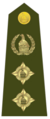 Shoulder rank, Colonel (Zimbabwe National Army)