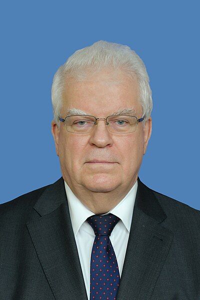 File:2022 Vladimir Chizhov.jpg