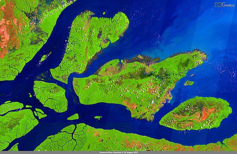 File:Amazon River, Sentinel-2.jpg