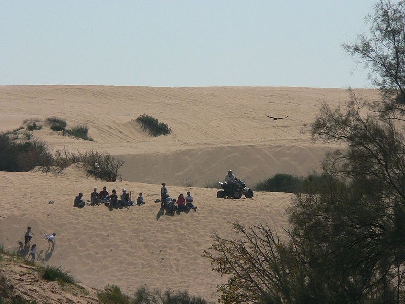 File:Ashdod-dune01.jpg