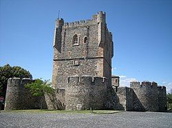 The Tower of the castle