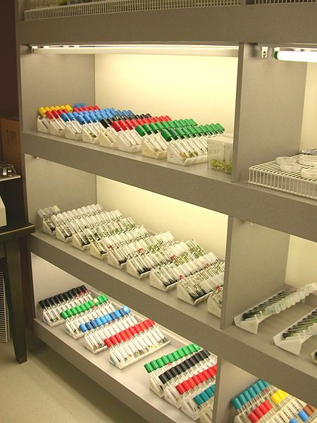 File:Culture in vitro.JPG