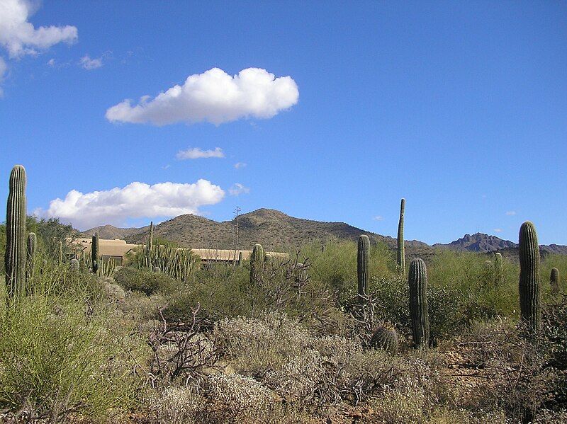 File:Desertmuseum06 1.JPG